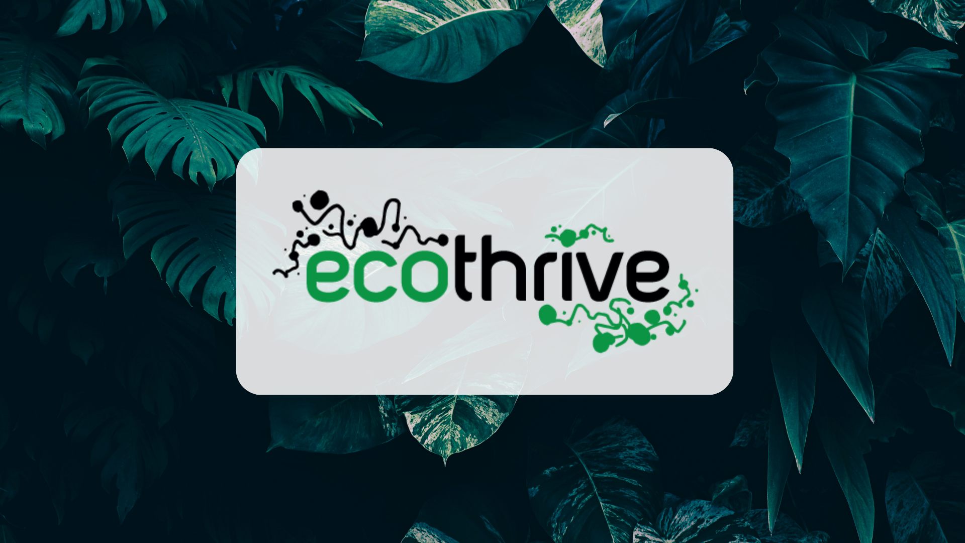 EcoThrive Nutrient Range: The Complete Guide