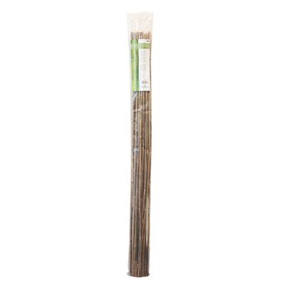 Bamboo Stakes 5ft or 6ft