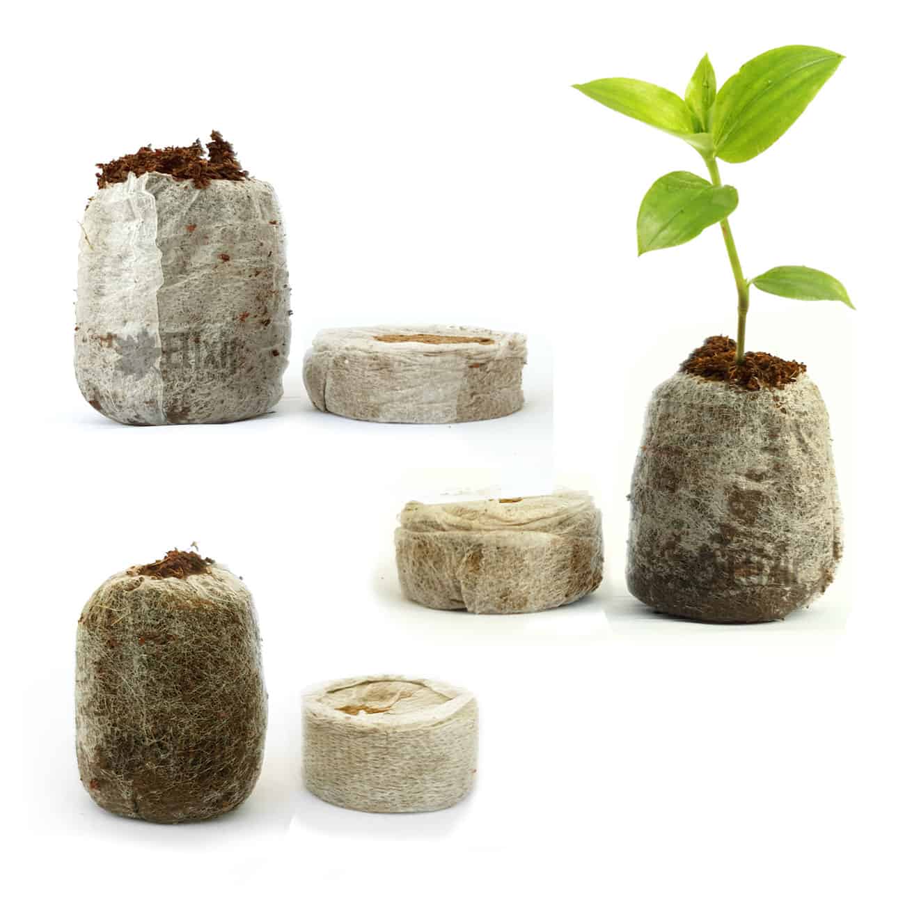 Peat Pellet Expandable Plugs 36mm Jiffy