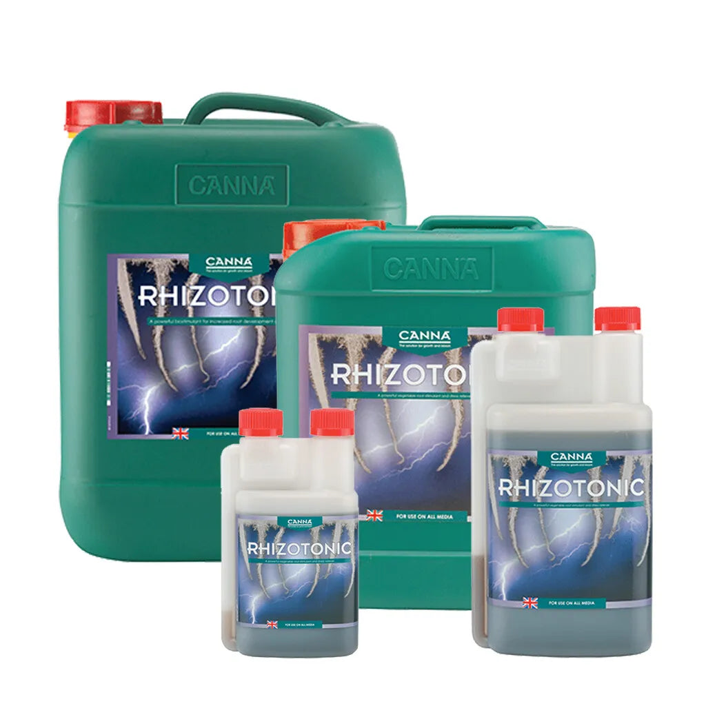 Rhizotonic Canna