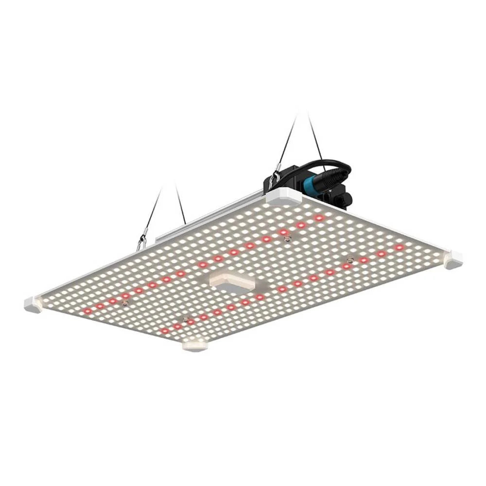 Ostrze Lumiii 200w