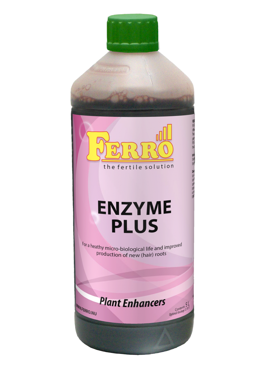 Ferro Enzimë Plus