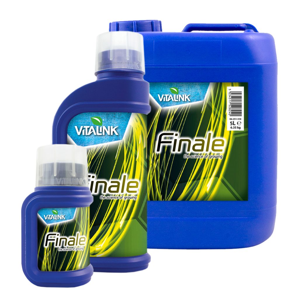 Finale Vitalink