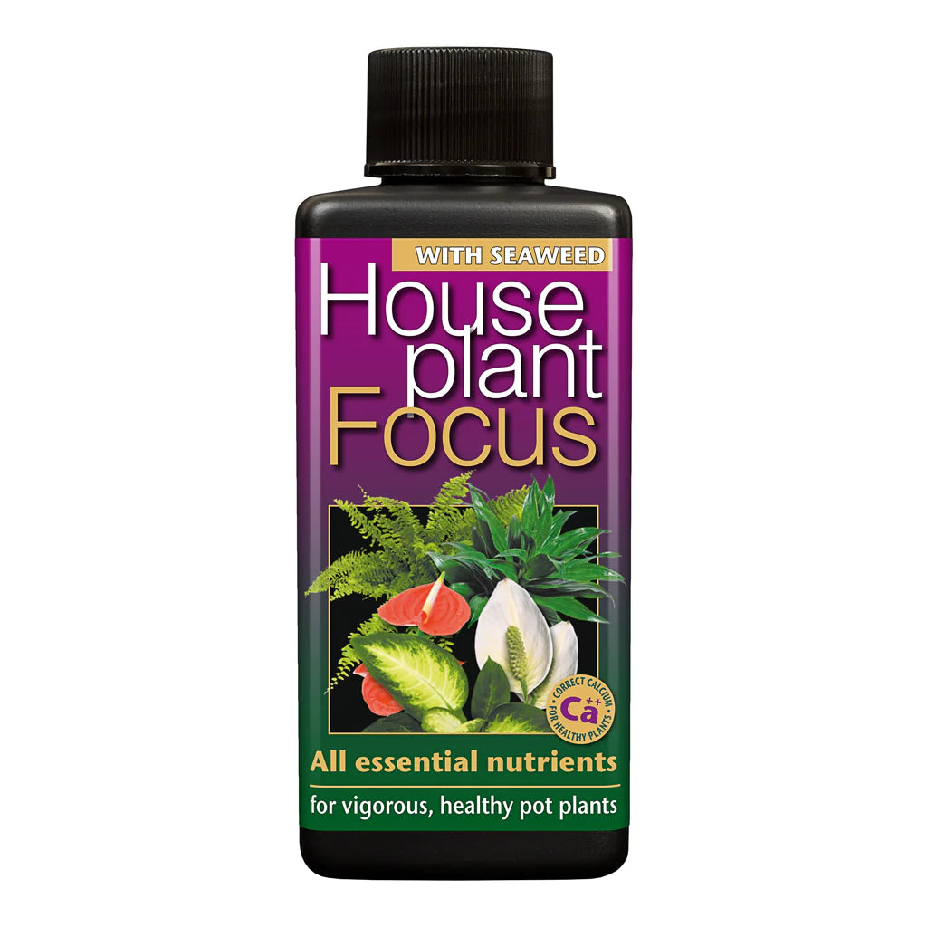 Houseplant Focus Growth Technology