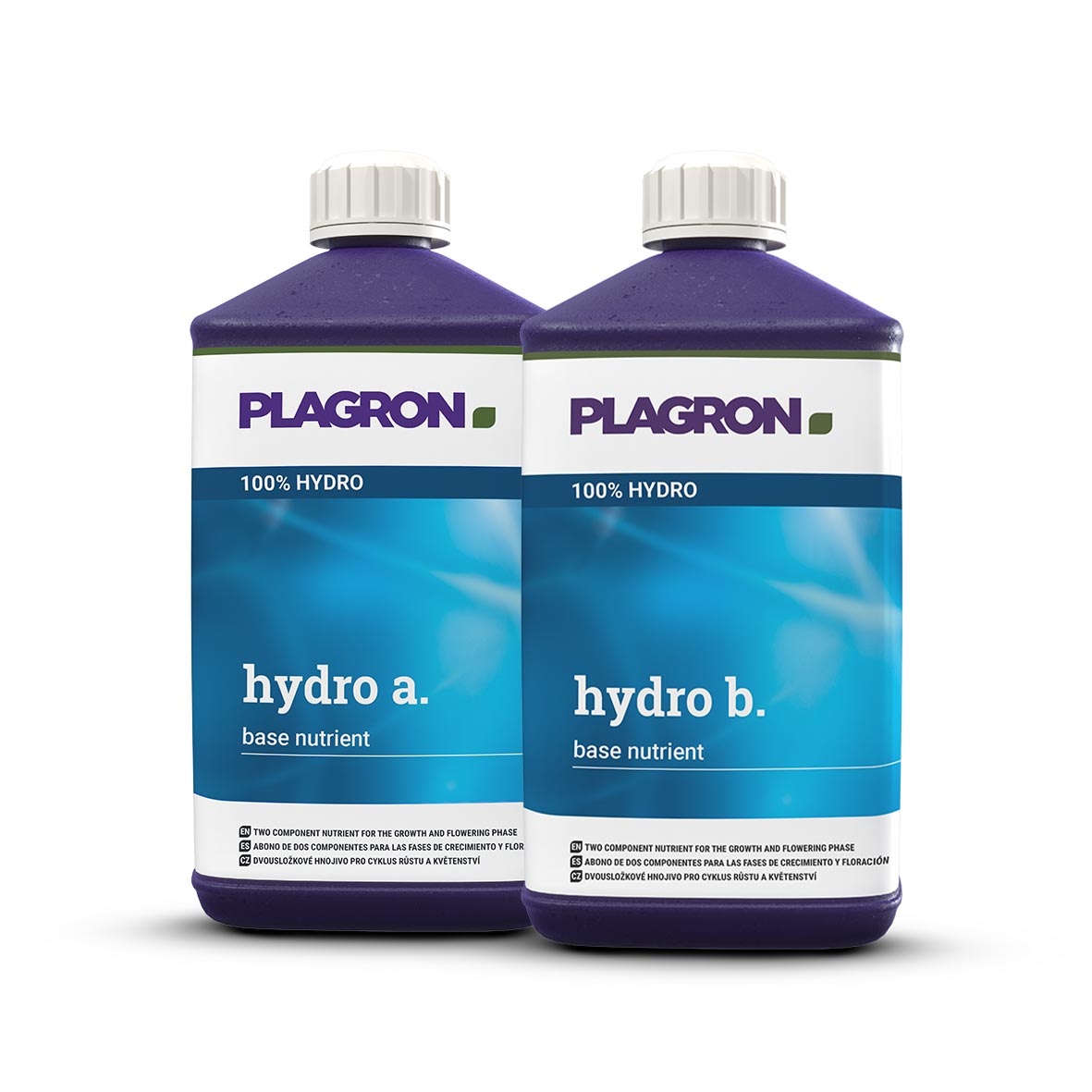 PLAGRON HYDRO A+B