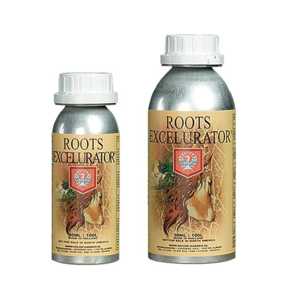 Roots Excelurator Silver House & Garden