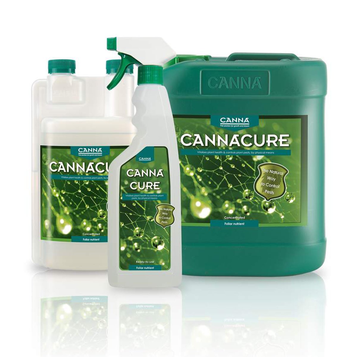 Cannacure Canna