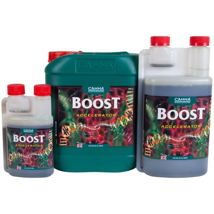 Boost Canna