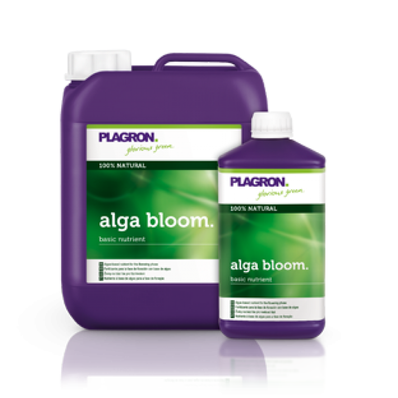 Alga Bloom Plagron