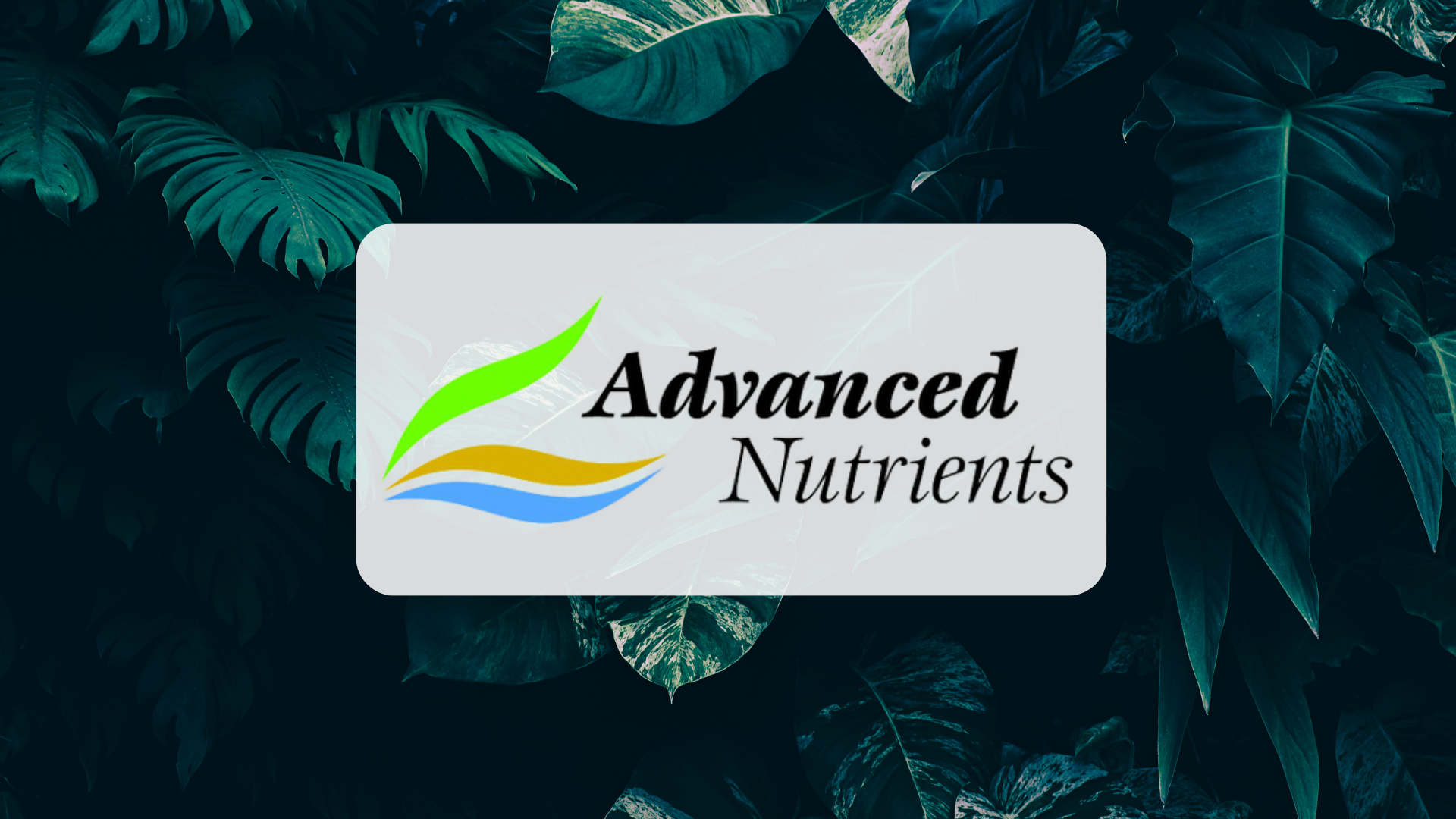 Advanced Nutrients Range: Complete Guide