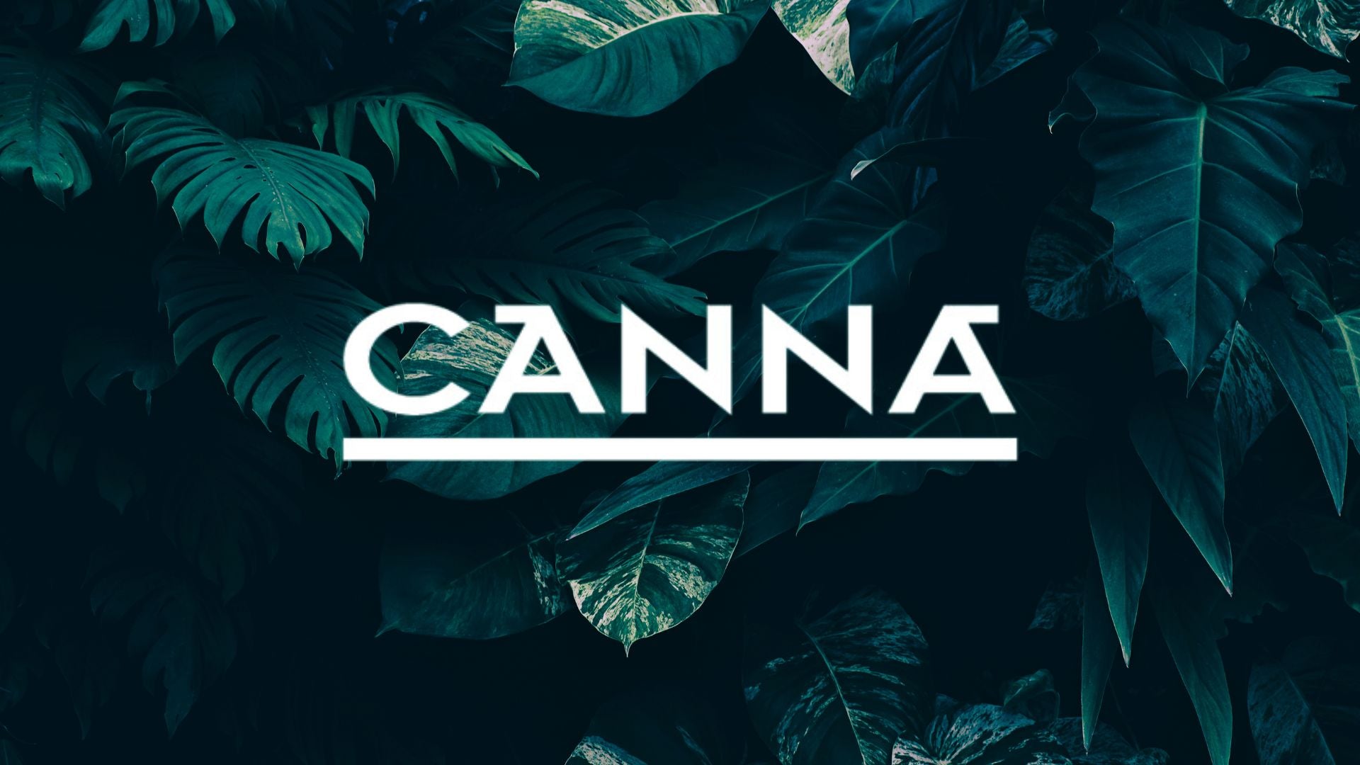 Canna Nutrient Range: Complete Guide