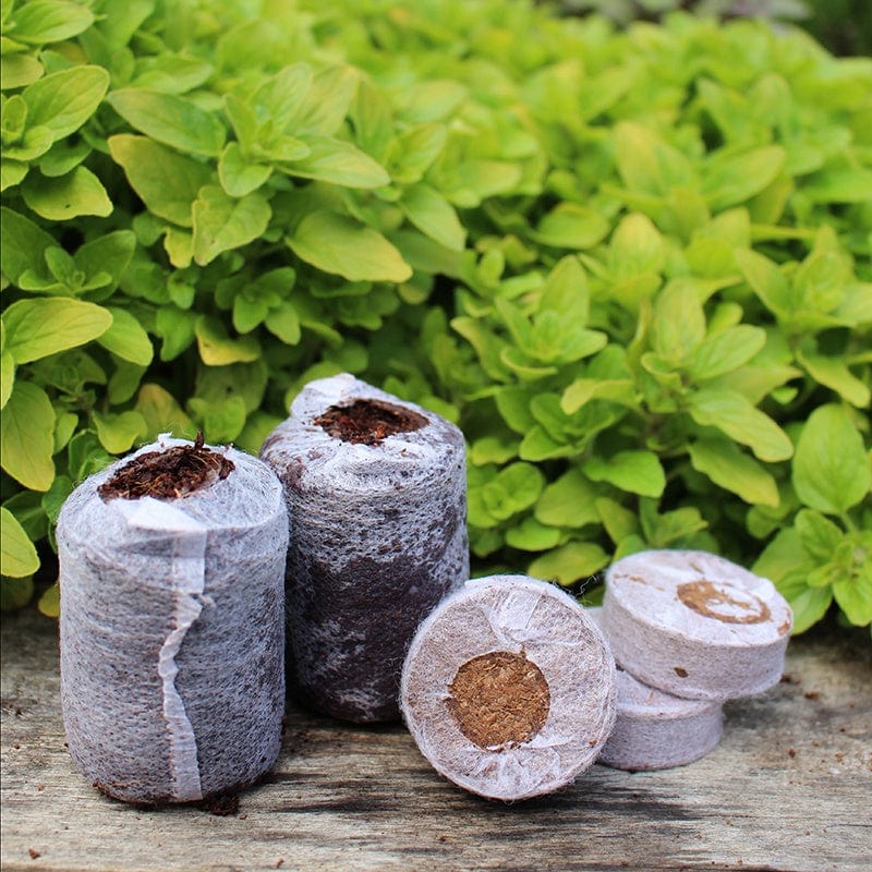 Starter Media & Transporting Plants