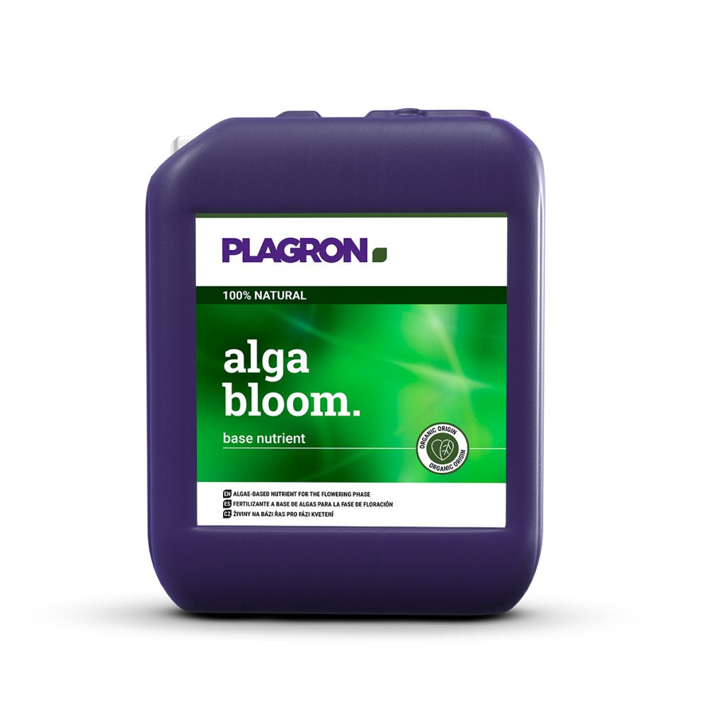 Lulëzimi i Algave Plagron 