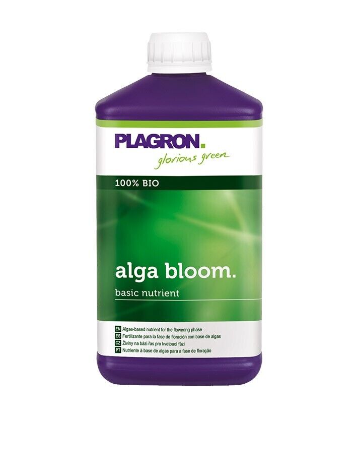 Lulëzimi i Algave Plagron 
