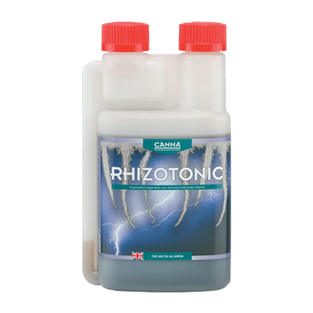 Rhizotonic Canna