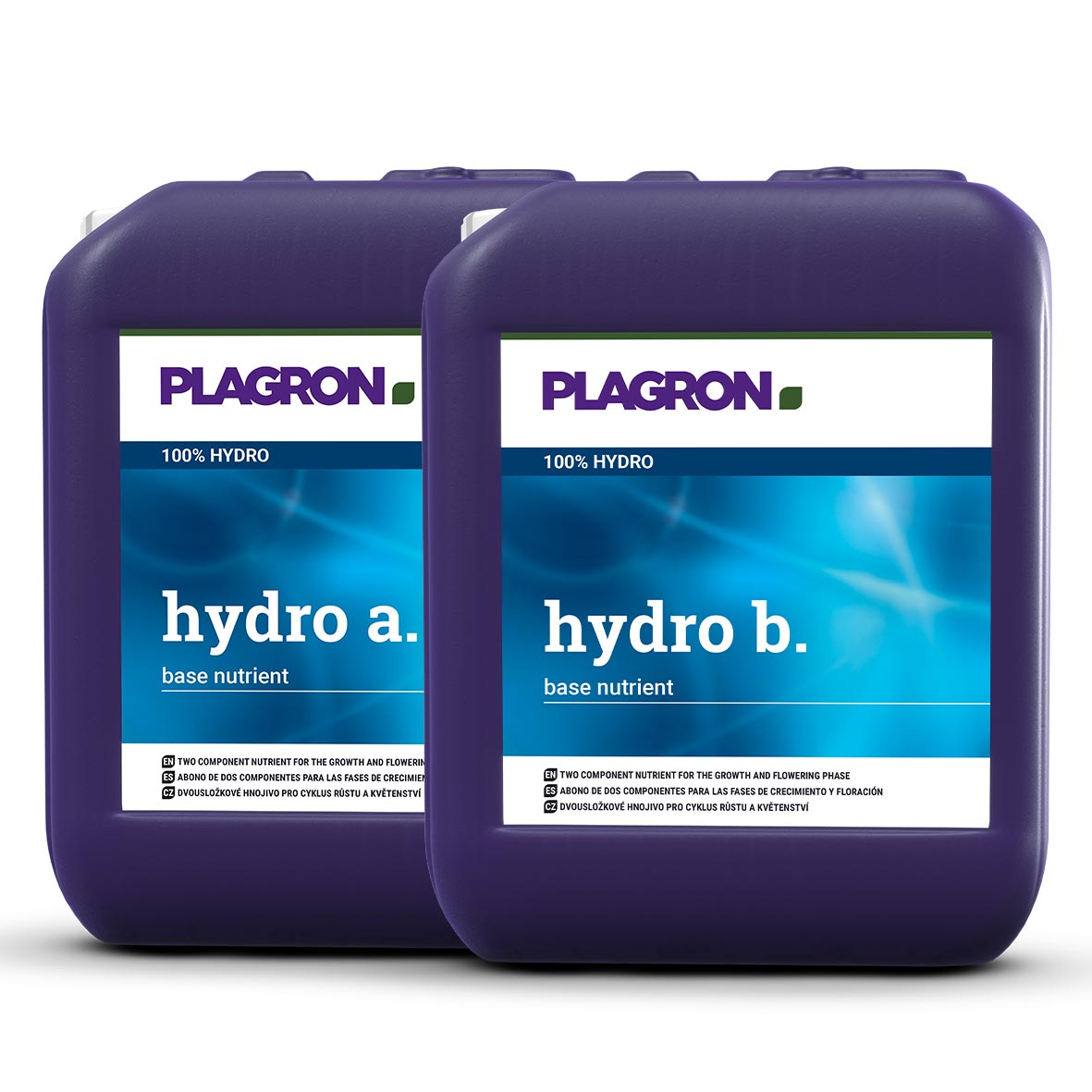 PLAGRON HYDRO A+B