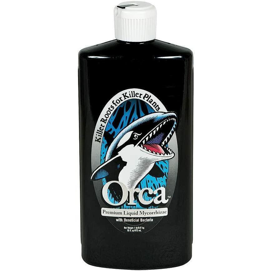 Orca Liquid Plant Success