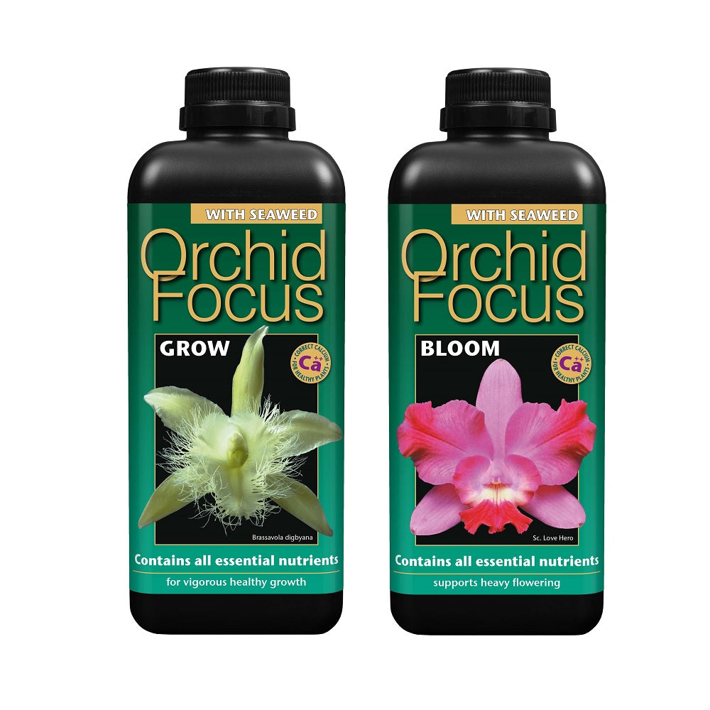 Orchid Focus Grow & Bloom Duo