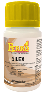 Silex Ferro