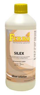 Silex Ferro