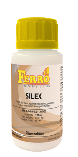 Silex Ferro