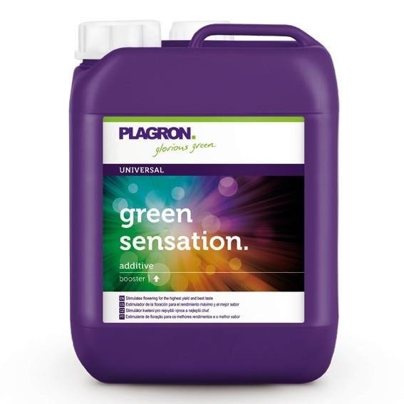 Green Sensation Plagron